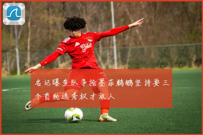 名记曝多队争抢墨菲鹈鹕坚持要三个首轮选秀权才放人