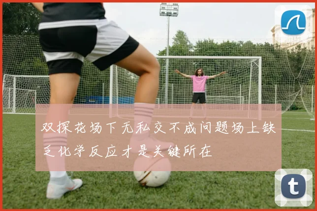 双探花场下无私交不成问题场上缺乏化学反应才是关键所在